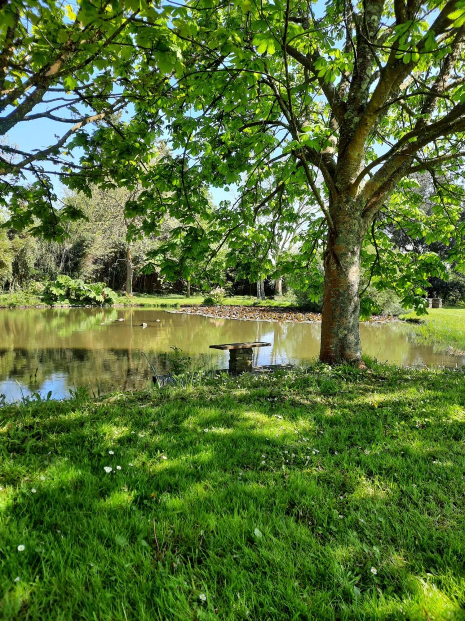 Chambres D'Hotes & Gites - Domaine Les Sources Portbail Exteriör bild